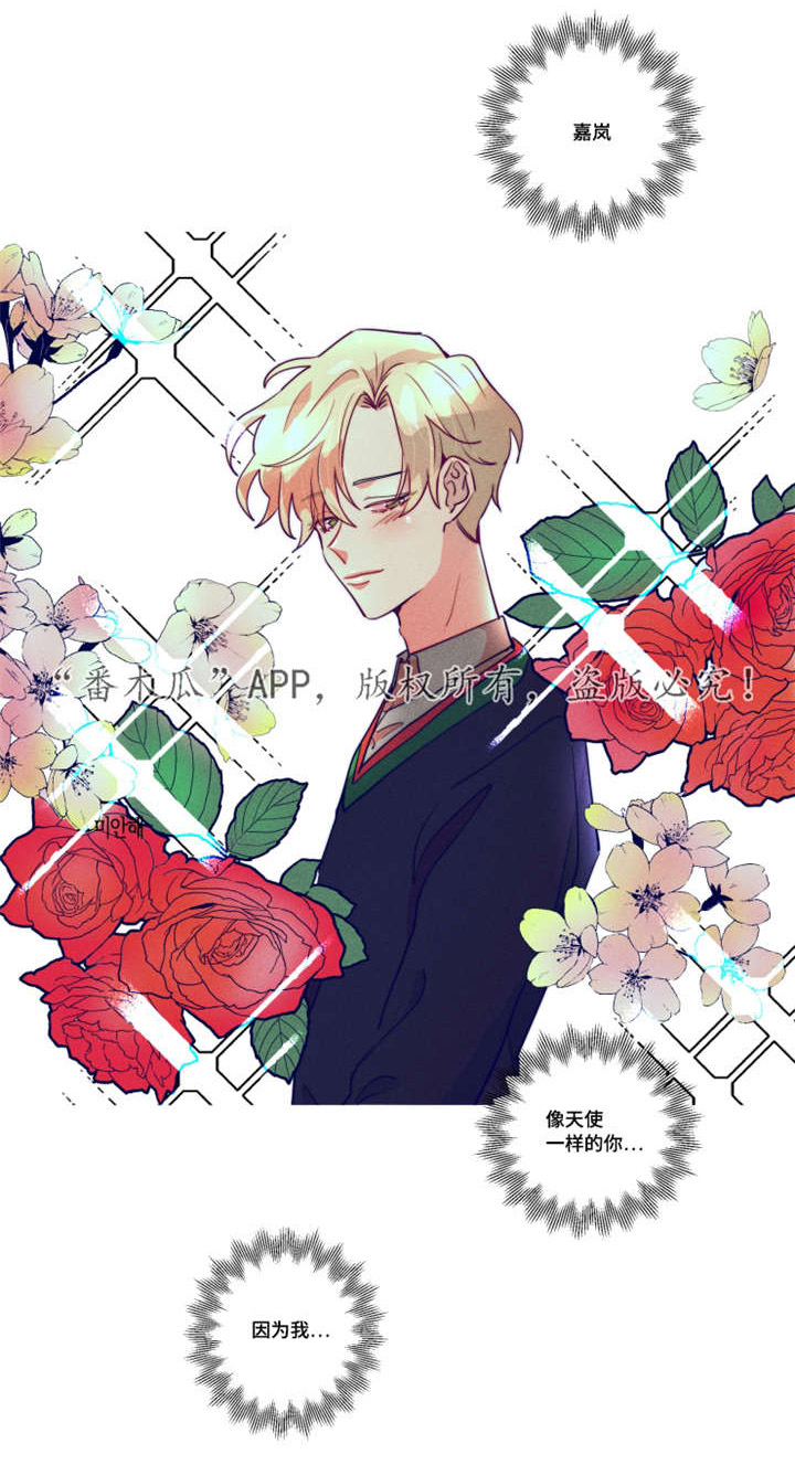 差距美第10话图