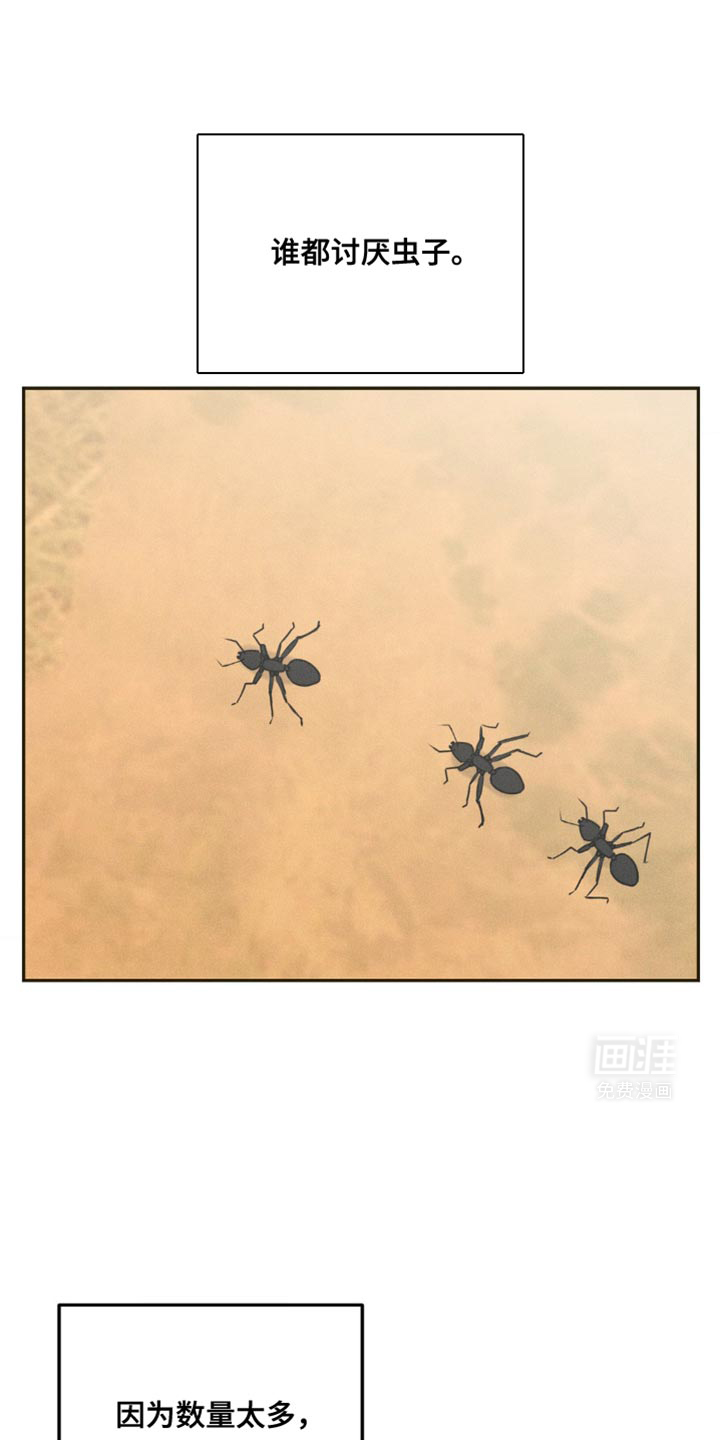 纯白的假象第25话图