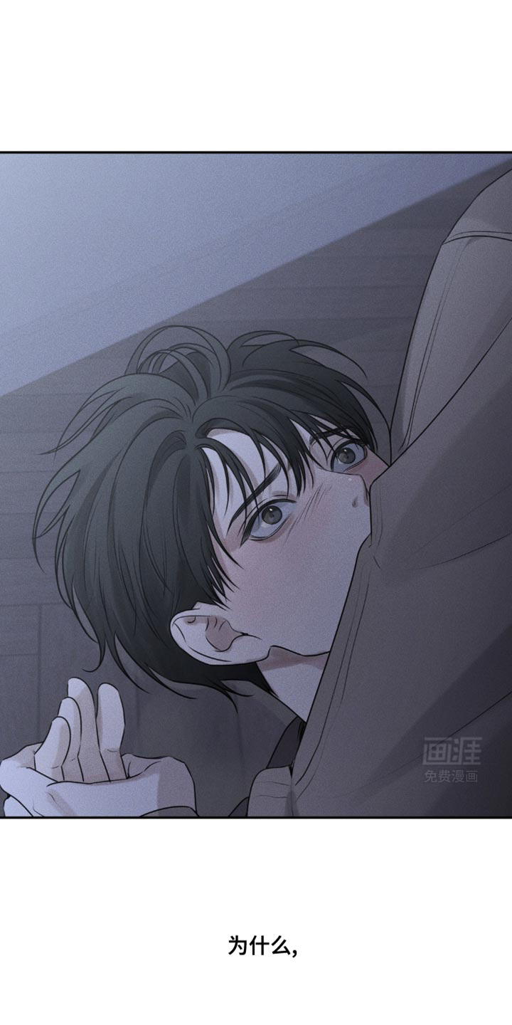 纯白的假象第40话图