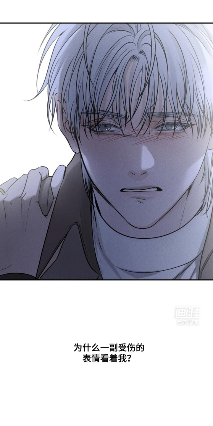 纯白的假象第40话图