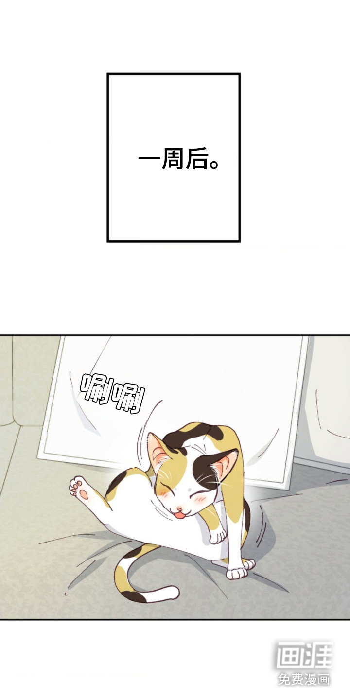 吃掉小可爱第27话图