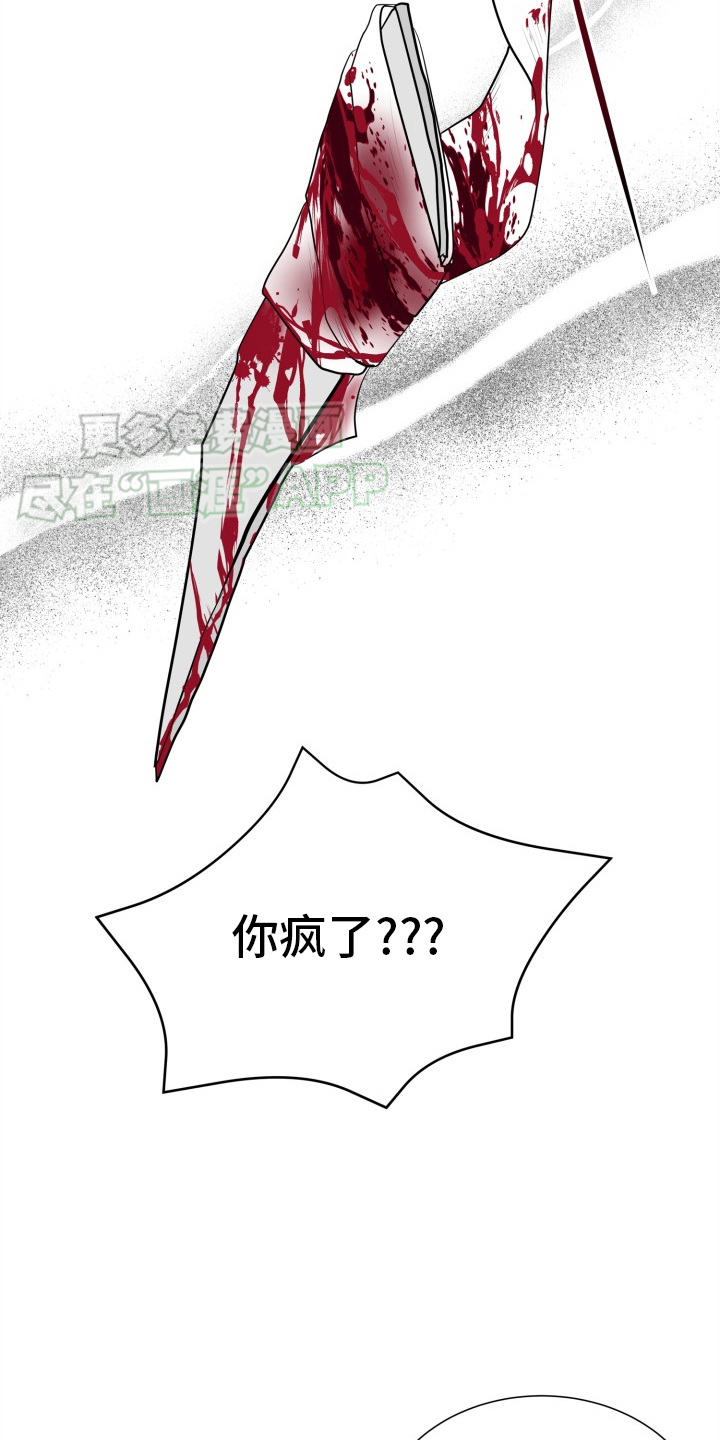 触碰你的内心第33话图