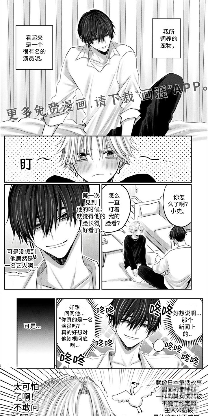 宠物爱人第14话图