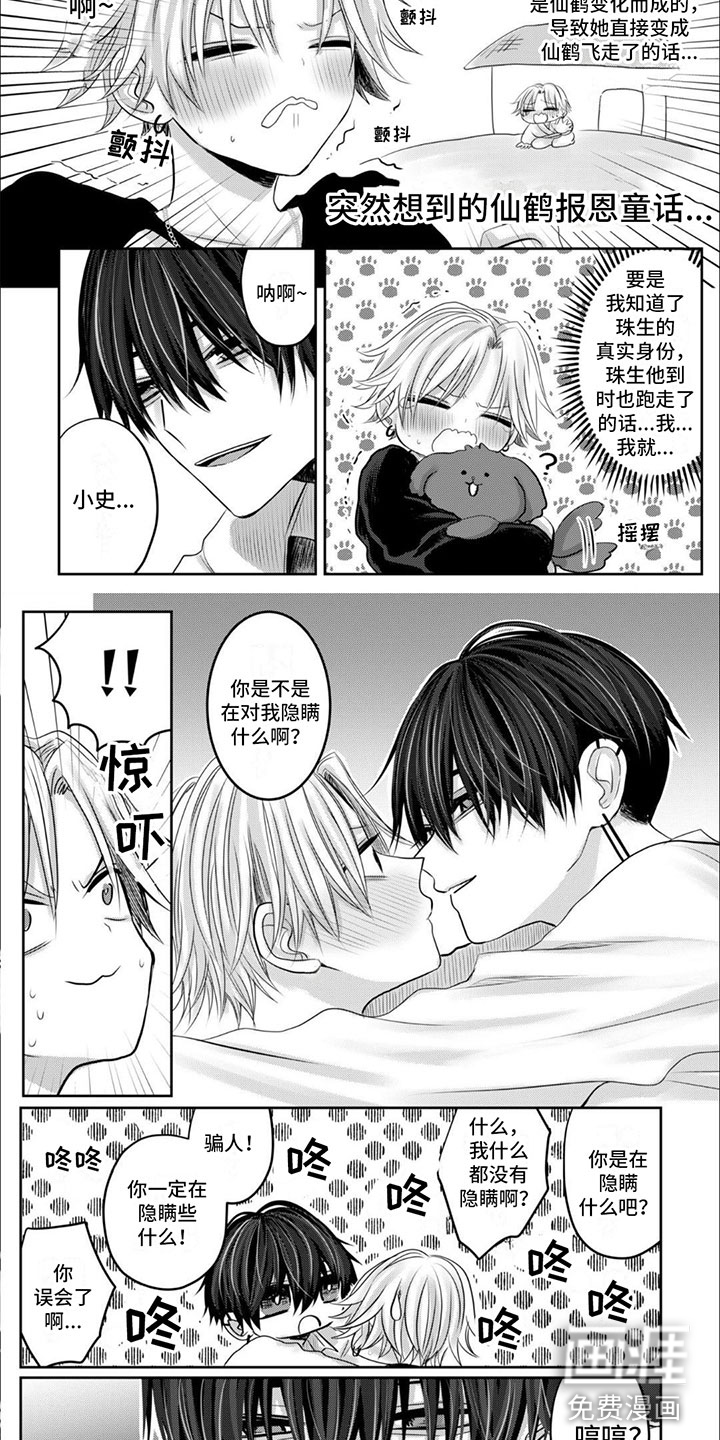 宠物爱人第14话图