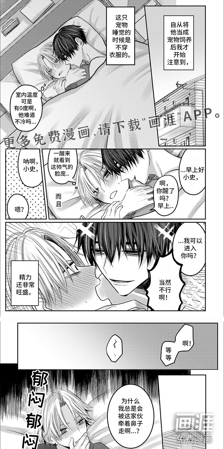 宠物爱人第5话图