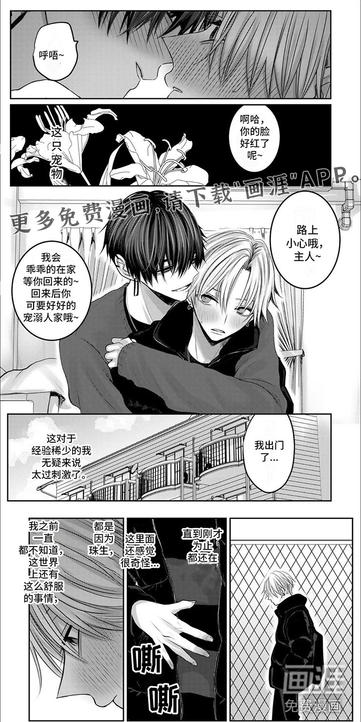 宠物爱人第6话图