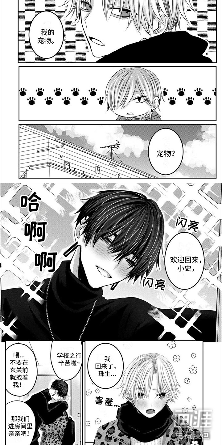 宠物爱人第8话图