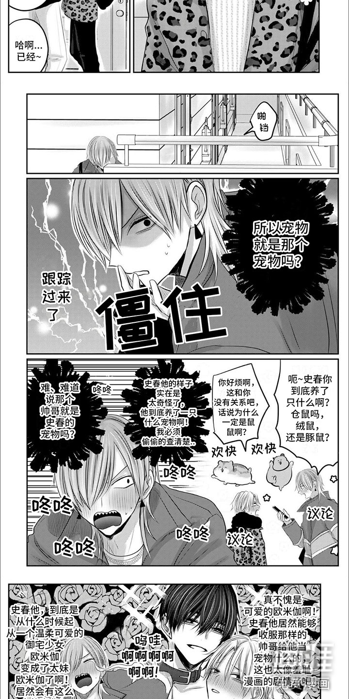 宠物爱人第8话图