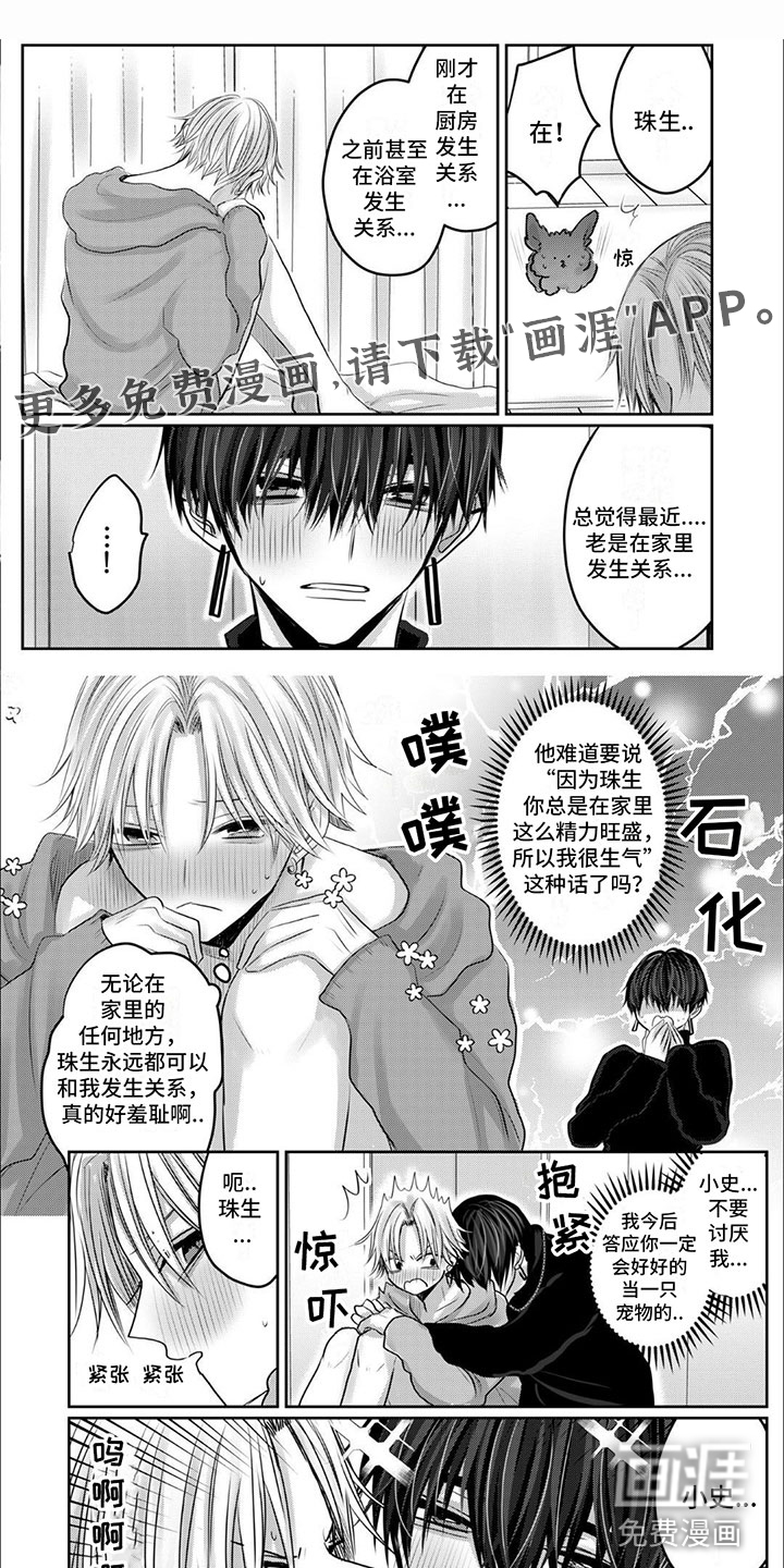 宠物爱人第9话图