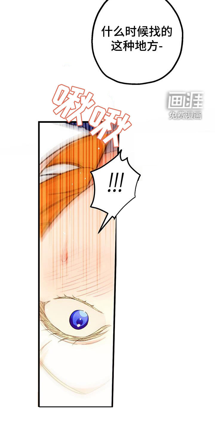 城堡里的野兽第45话图