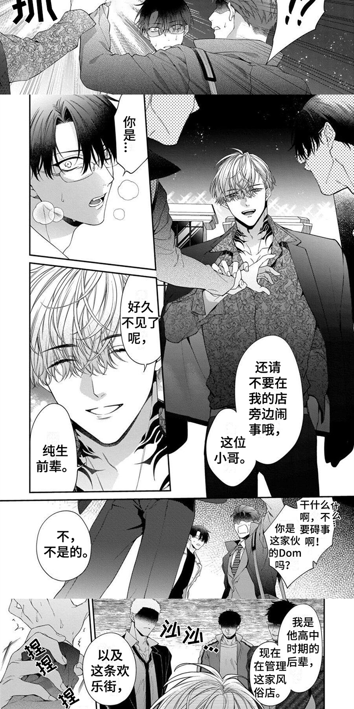 彻底支配第2话图