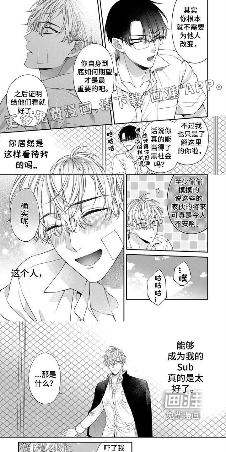 彻底支配第8话图