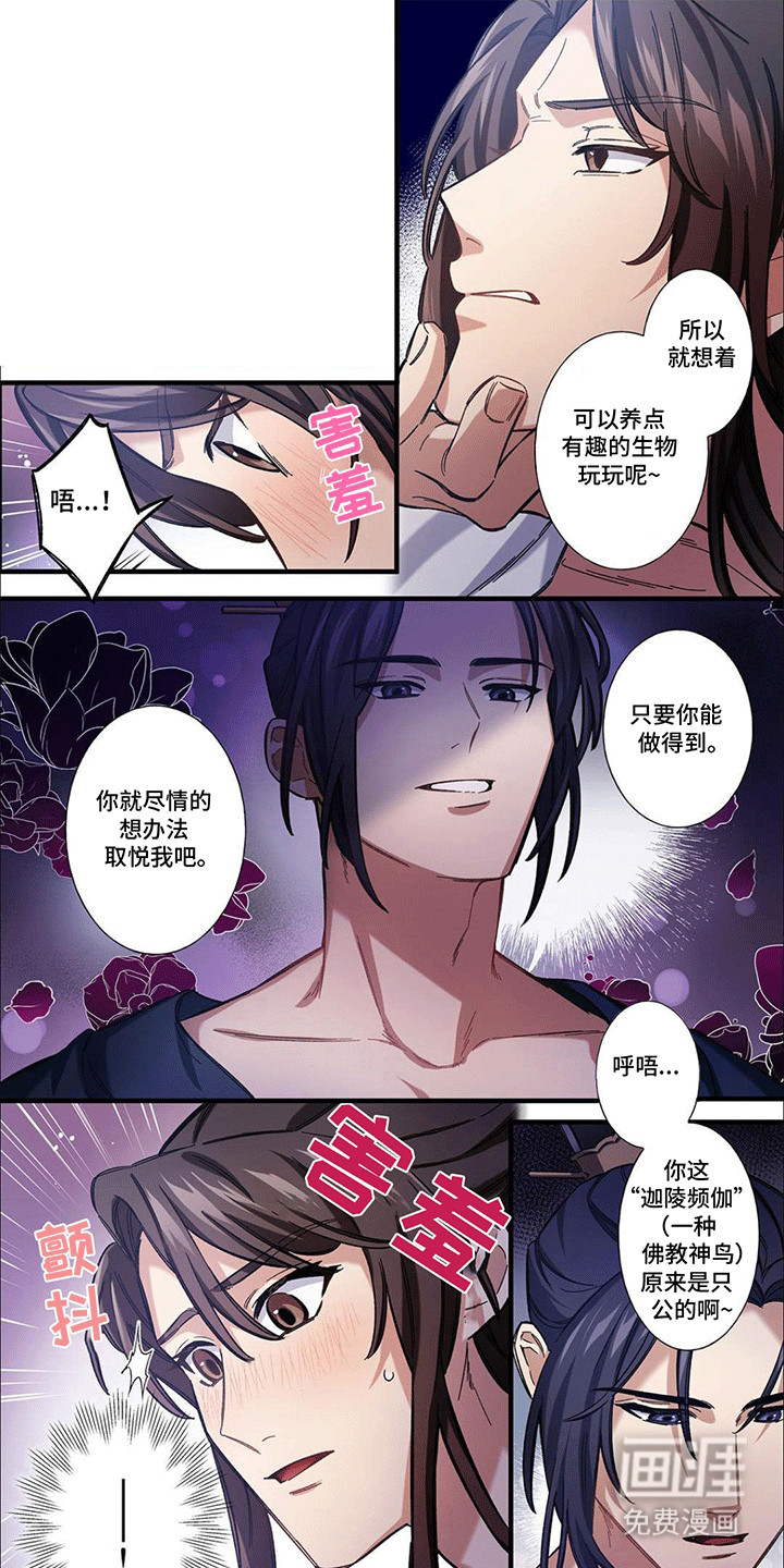 刺客成妃第3话图