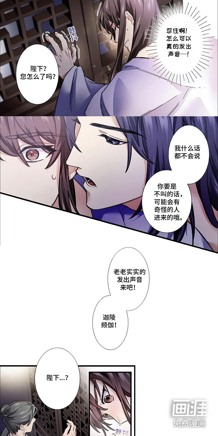 刺客成妃第4话图