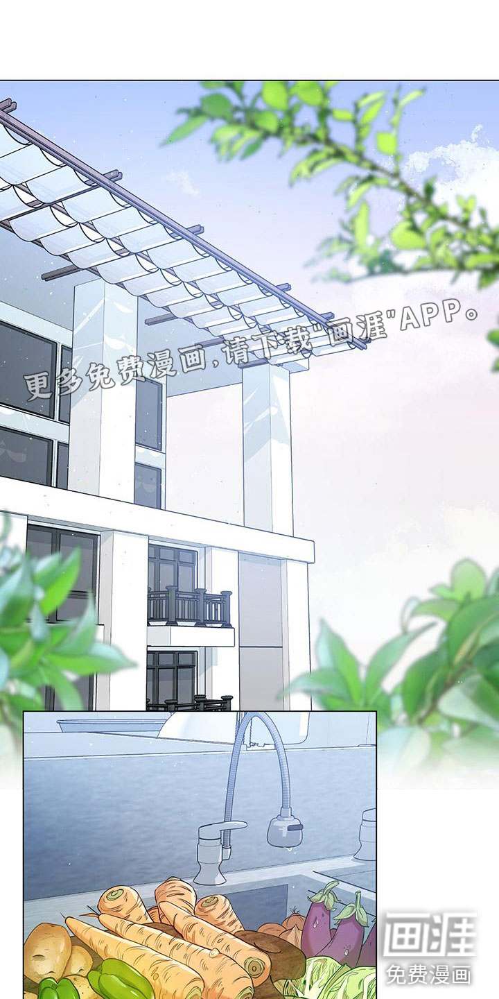 厨厨动人第13话图