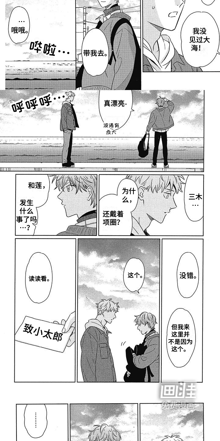 城市之光第24话图