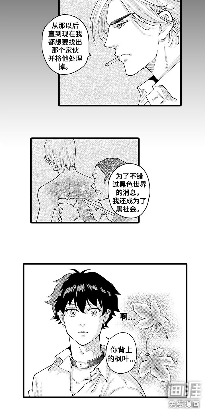 残酷的黑帮第21话图