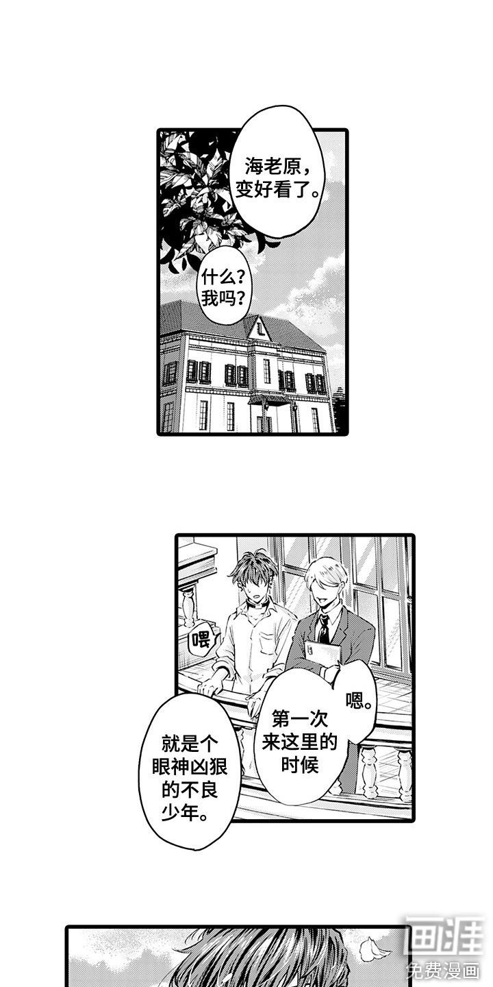 残酷的黑帮第9话图