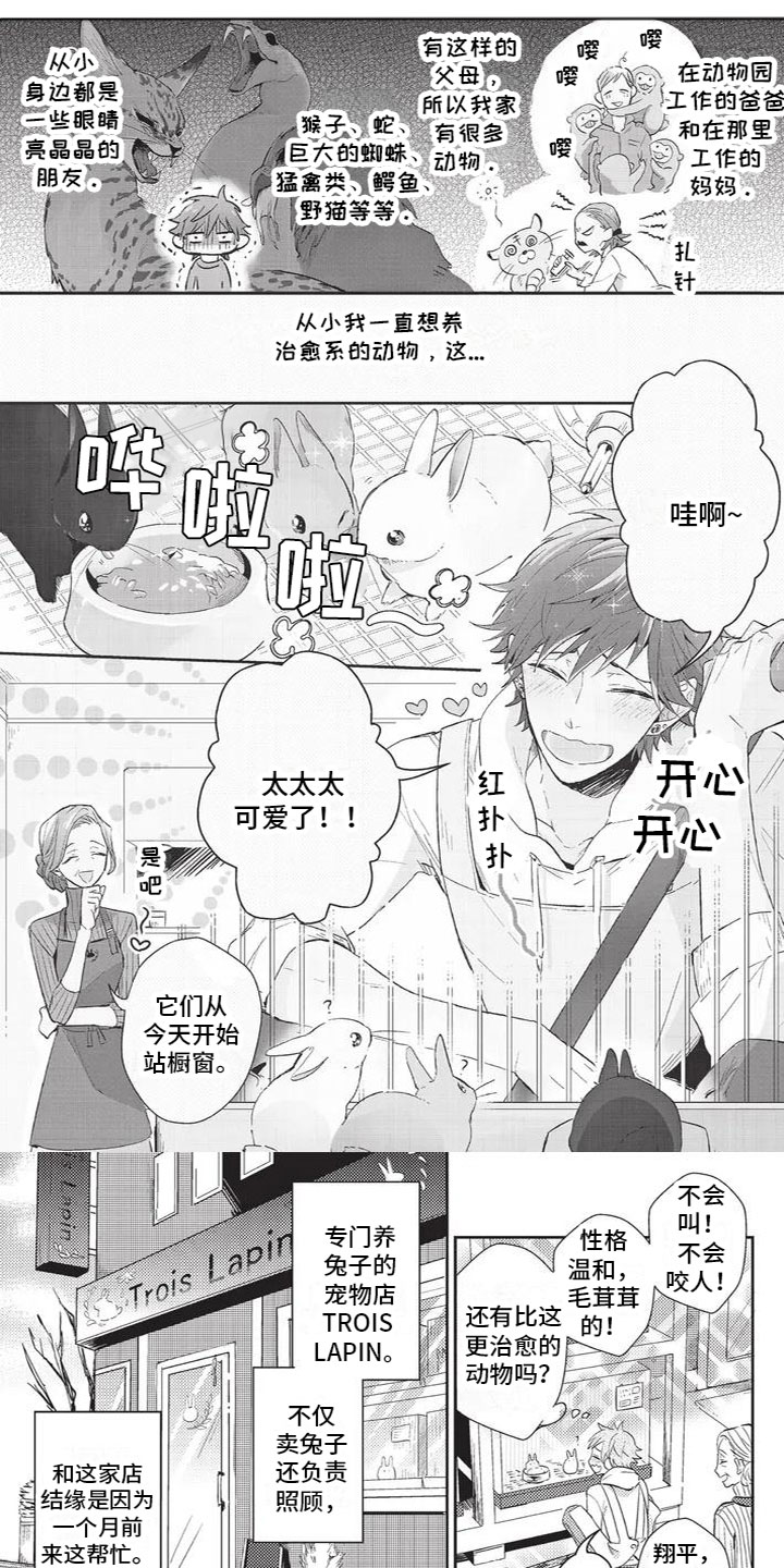 宠物敏感期第1话图