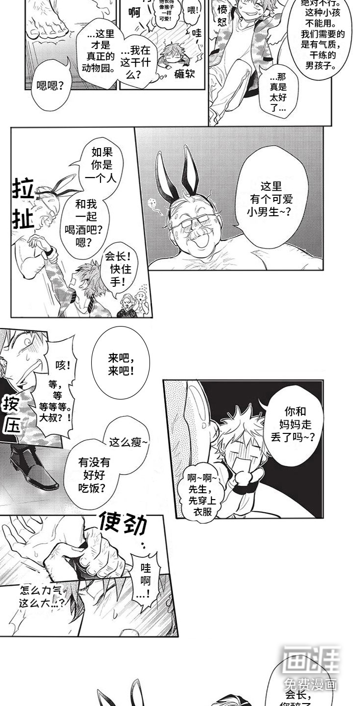 宠物敏感期第12话图