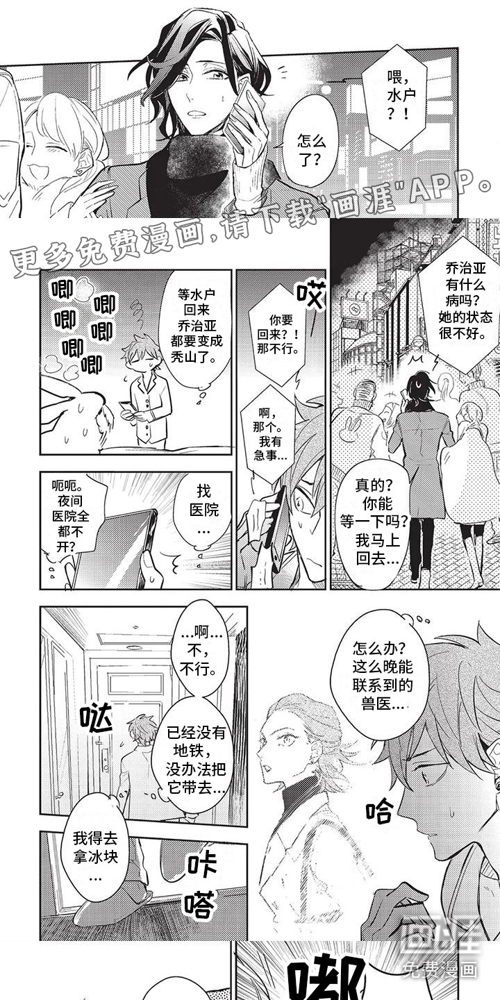 宠物敏感期第22话图