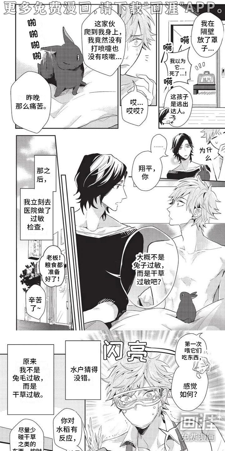 宠物敏感期第6话图