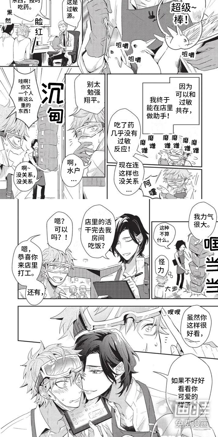 宠物敏感期第6话图