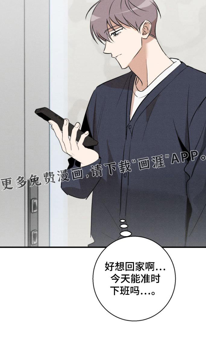 初恋的复仇第24话图