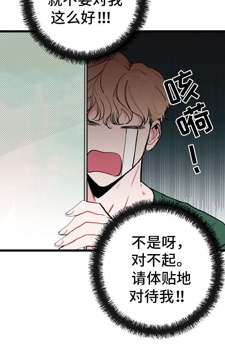 初恋理念第3话图