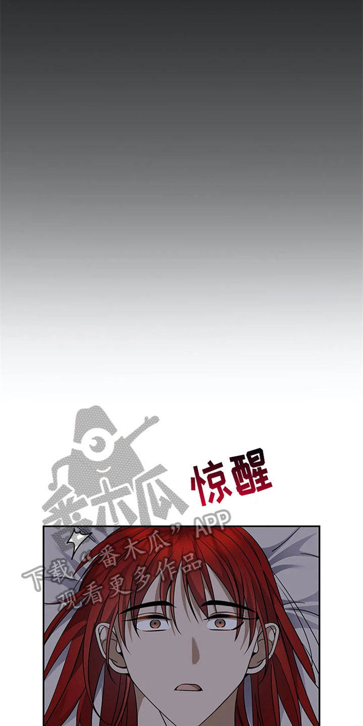 传奇之旅第17话图