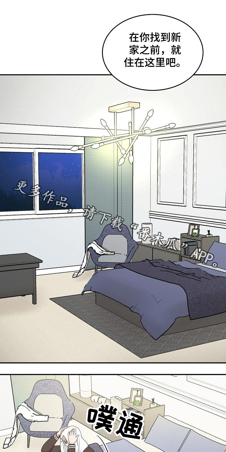 创作灵感第19话图