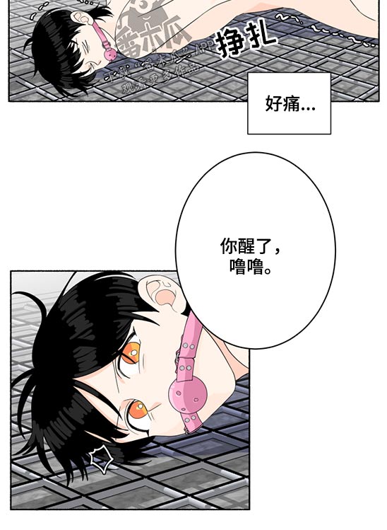 脆脆的恶魔第47话图