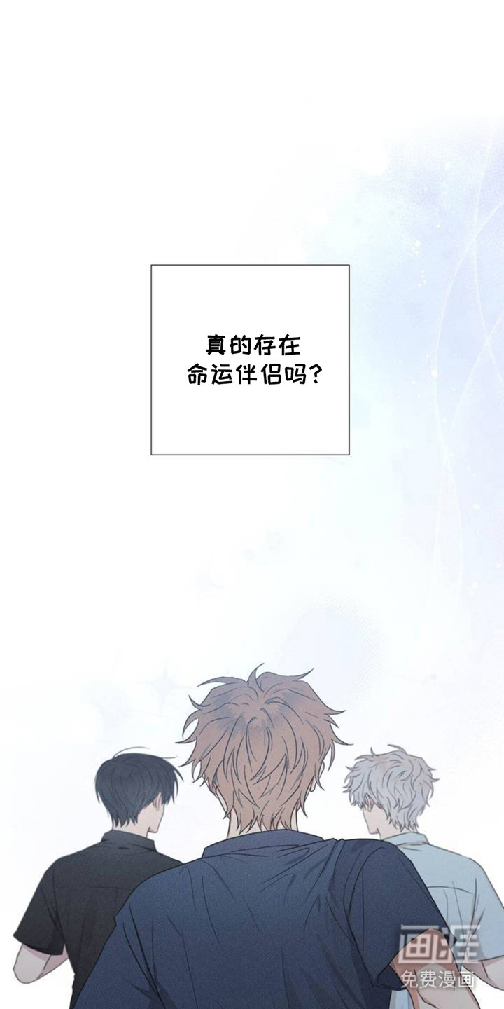 迟来的伴侣第1话图