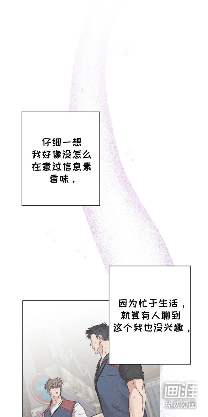 迟来的伴侣第11话图