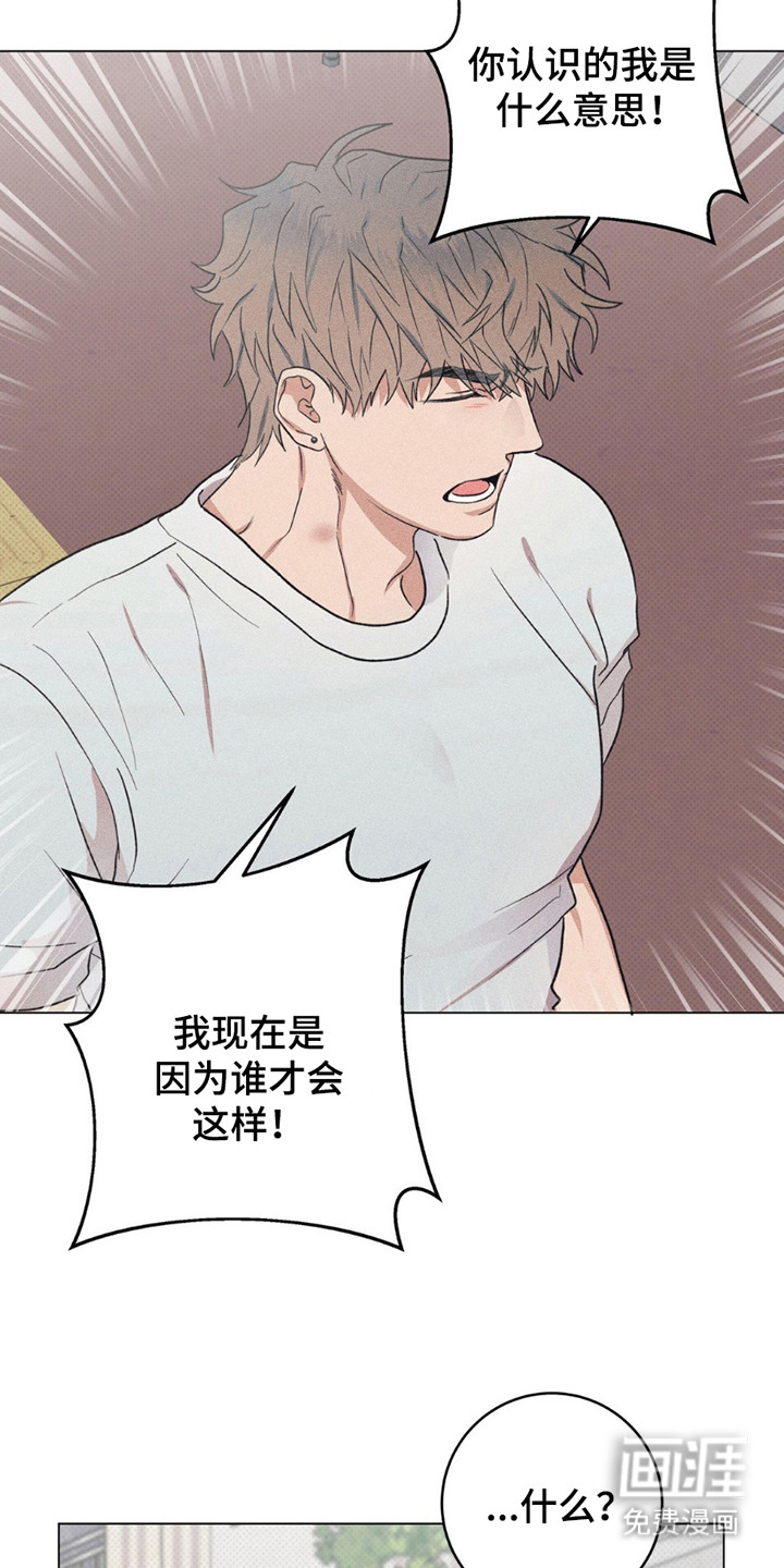 迟来的伴侣第13话图