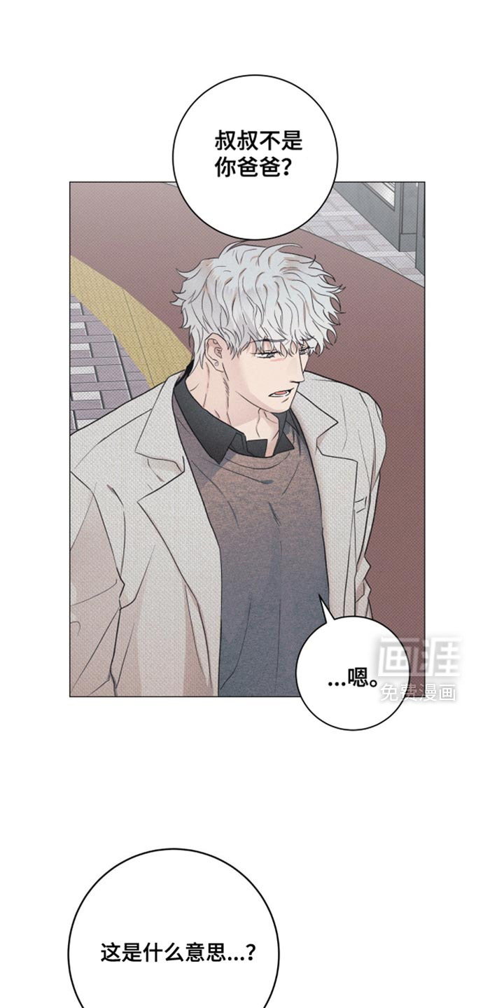 迟来的伴侣第14话图