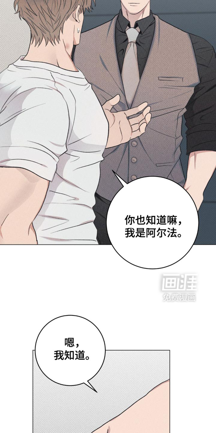 迟来的伴侣第16话图