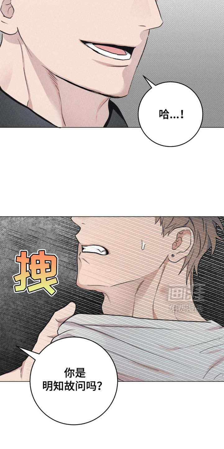 迟来的伴侣第17话图