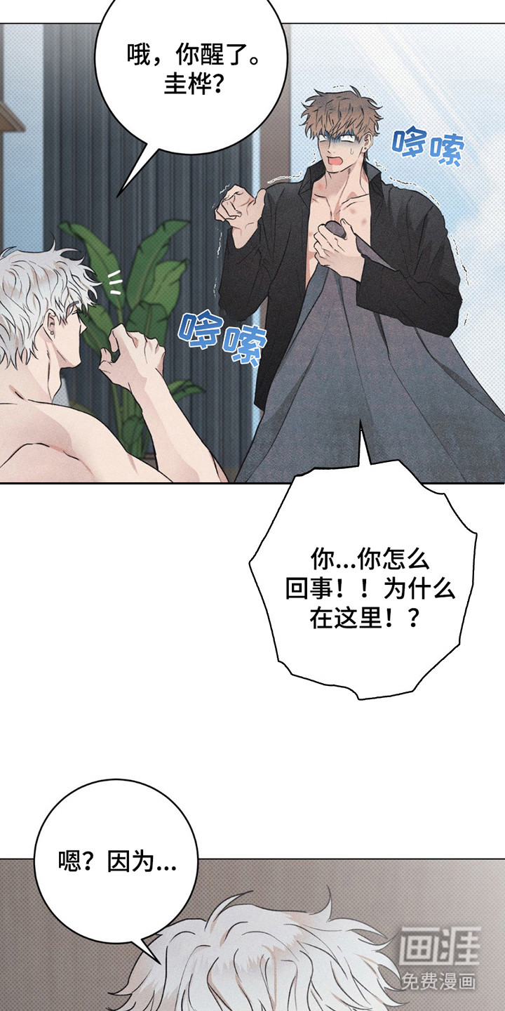 迟来的伴侣第9话图