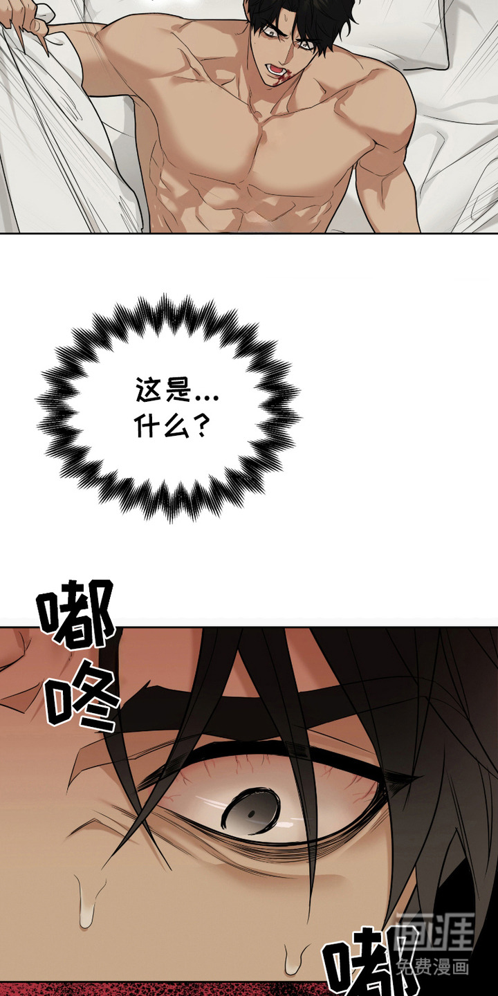 错位的霸权 第6话 第13页