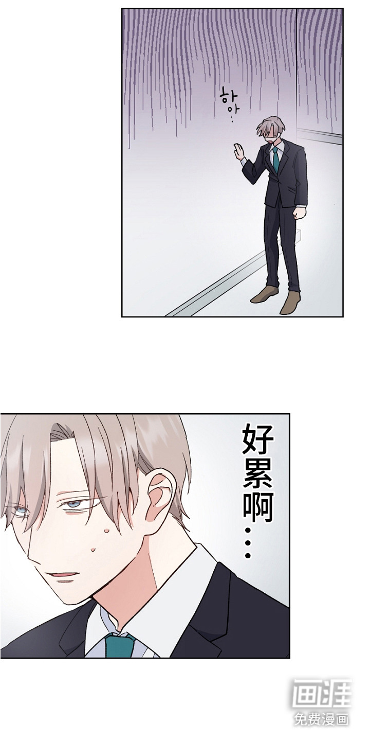 纯情代码第13话图