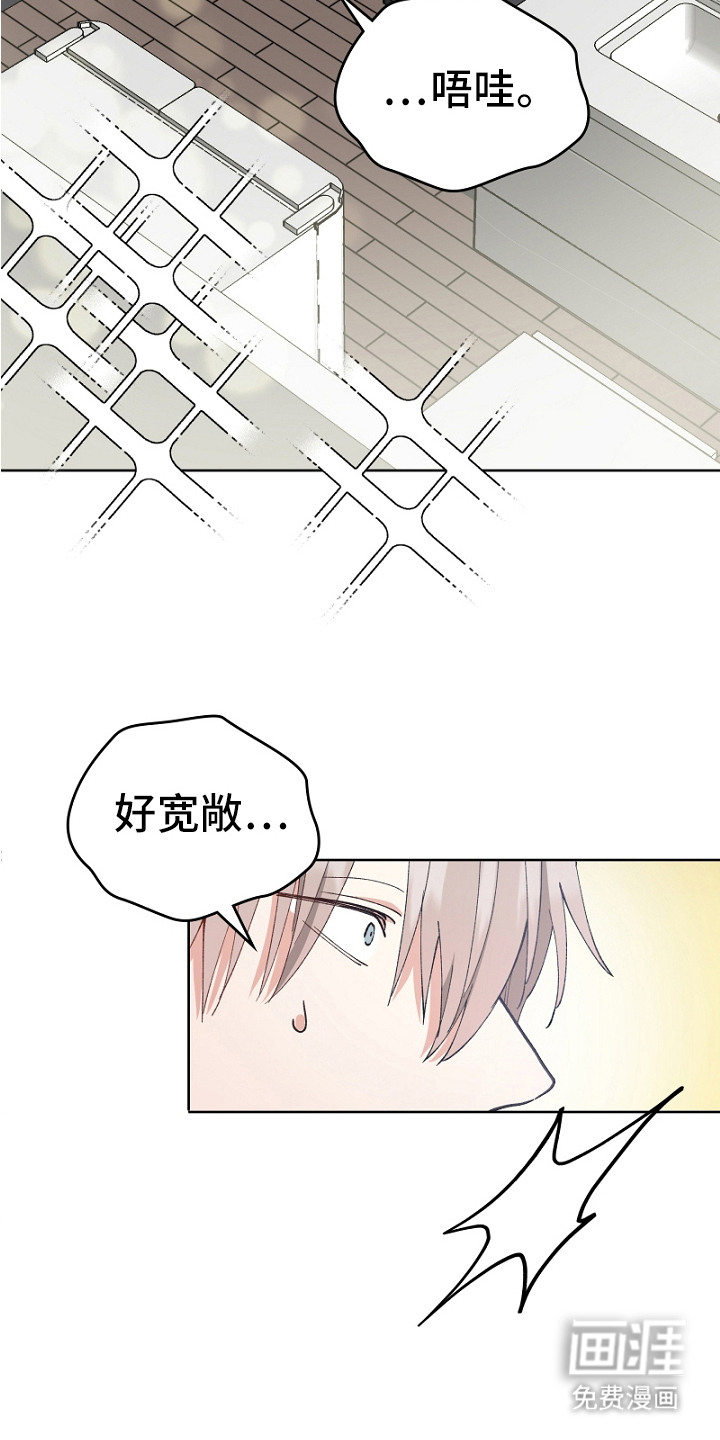 纯情代码第20话图