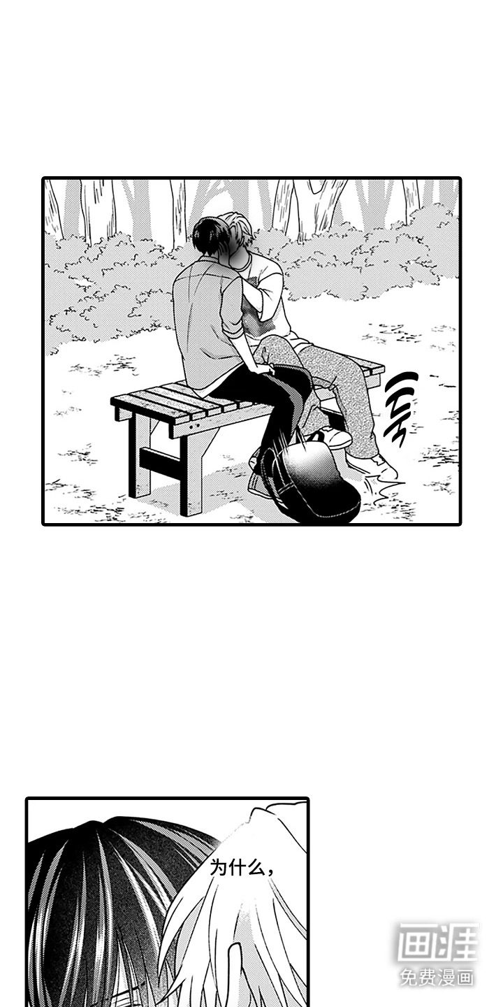 彩虹调色盘第15话图