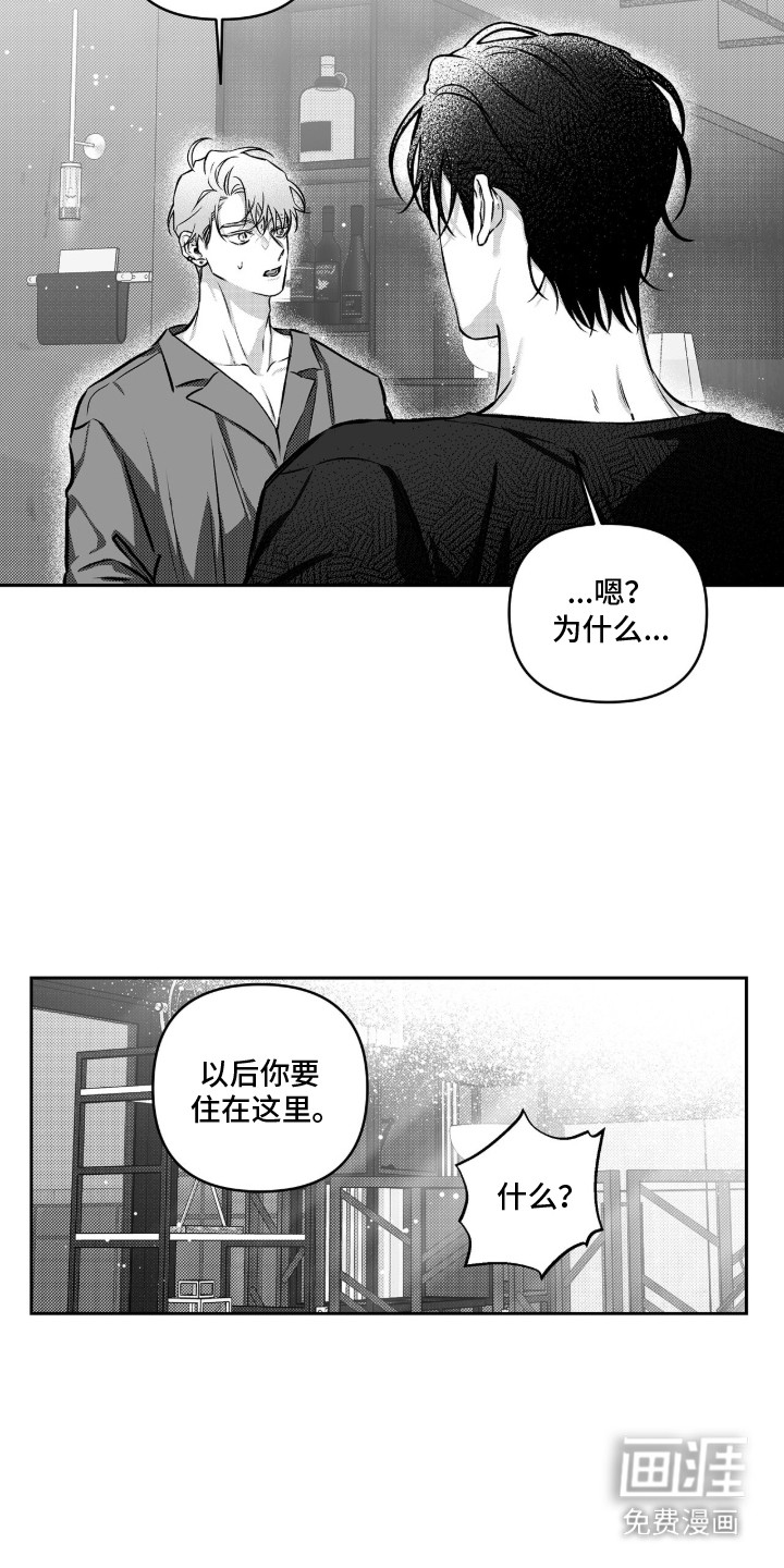 朝内吠叫的狗第8话图