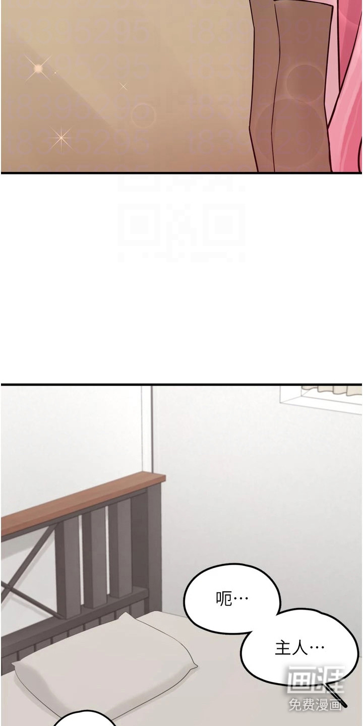 宠物系萌妹 第8话 第13页