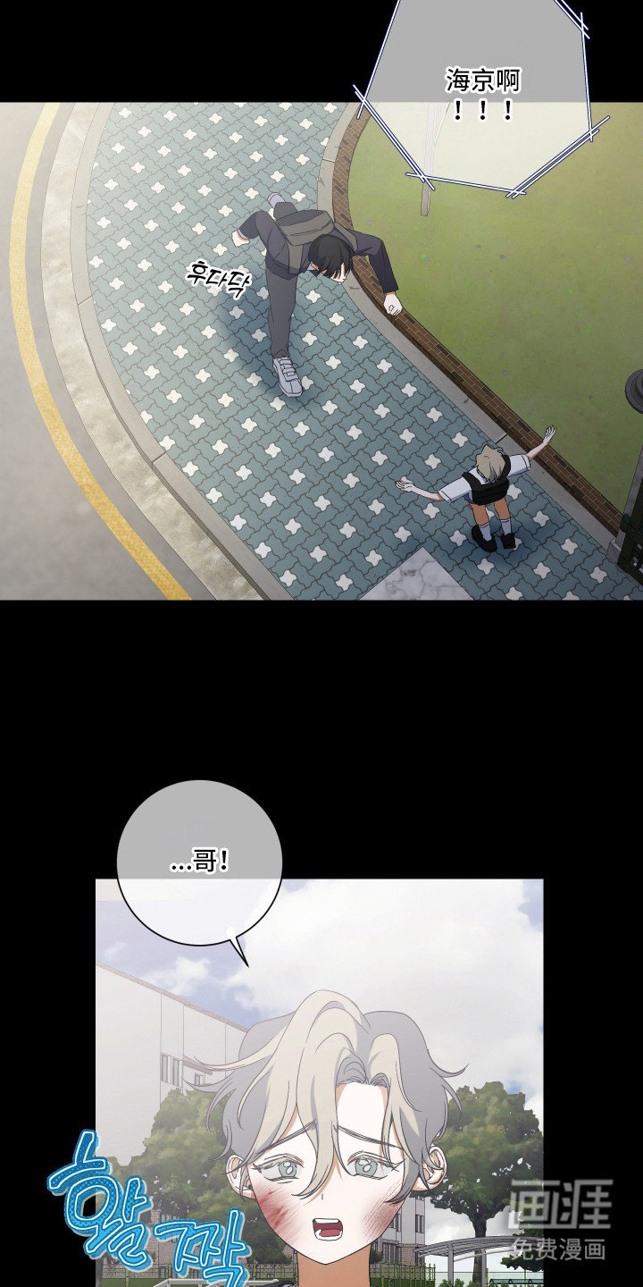 纯血人类与家养兔第11话图