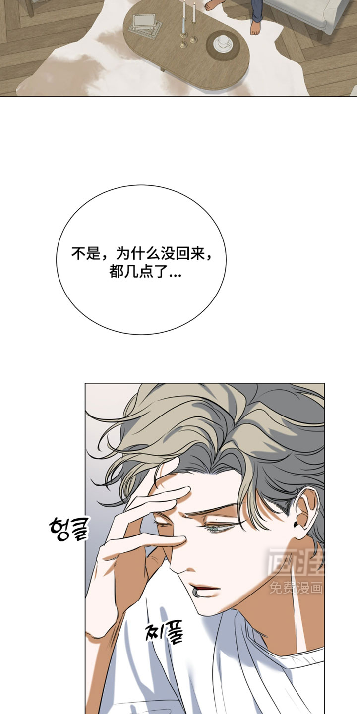 纯血人类与家养兔第13话图