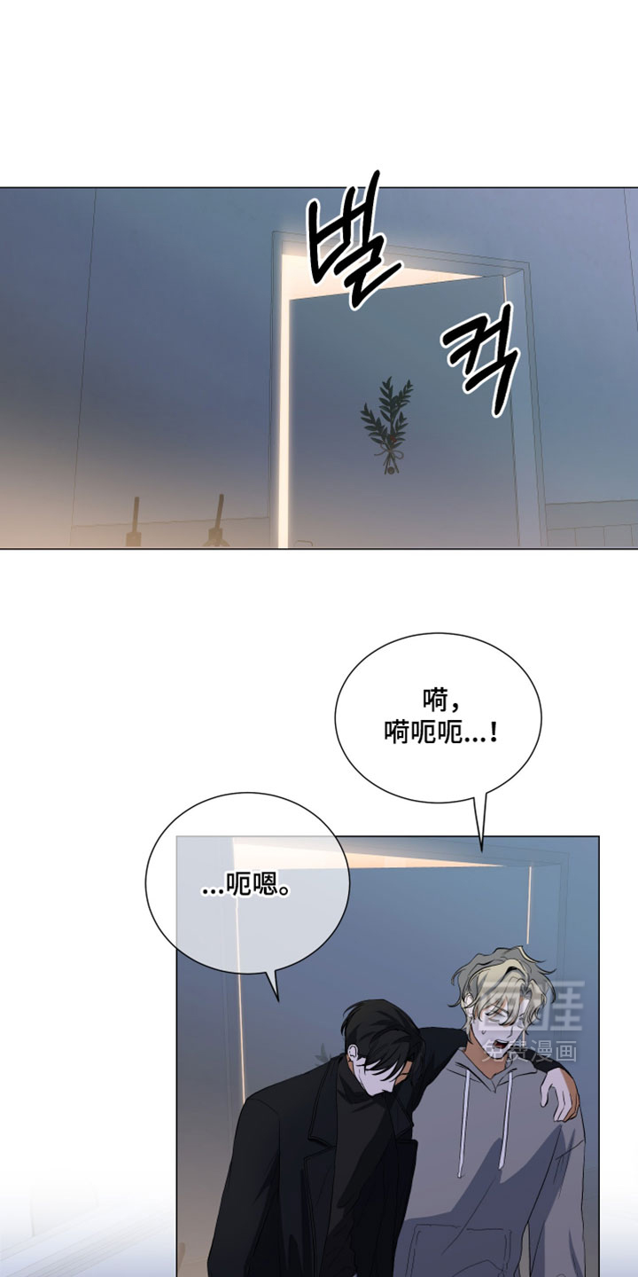 纯血人类与家养兔第14话图