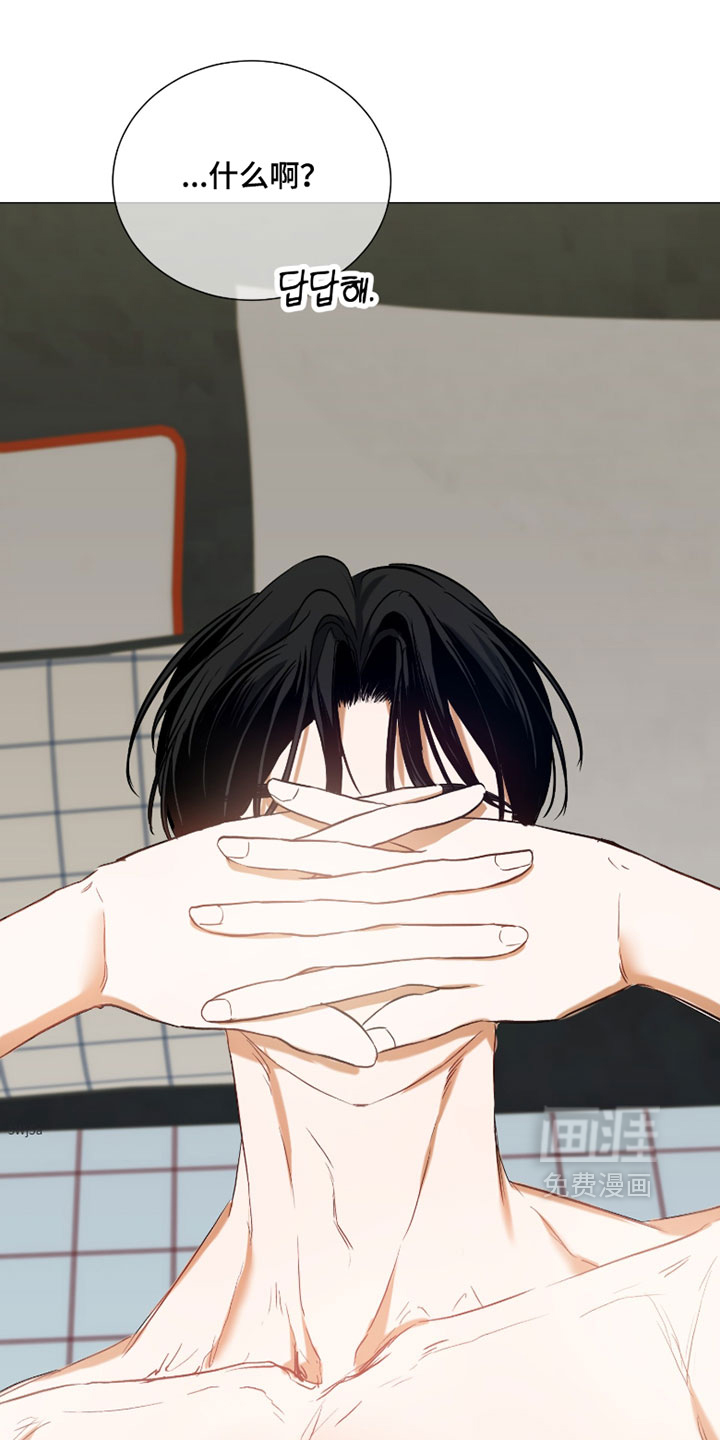 纯血人类与家养兔第15话图