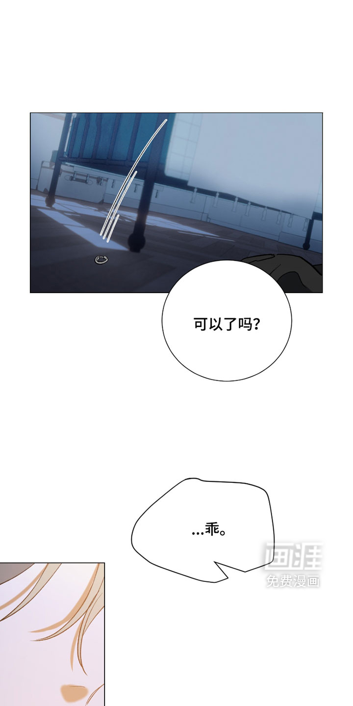 纯血人类与家养兔第16话图